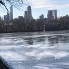 20180118 nyc 14